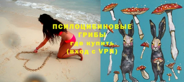 бошки Алзамай