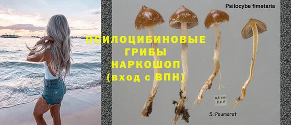mdpv Алексин